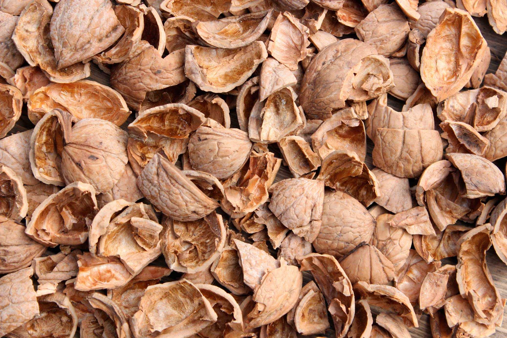 WALNUT SHELLS (UNMILLED)