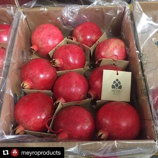 pomegranate export