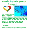VERDE IRPINIA GROUP FORAGGI S.C.P.L.