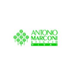 VIVAI MARCONI ANTONIO & FIGLI
