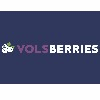 VOLS BLUEBERRIES