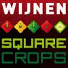 WIJNEN SQUARE CROPS