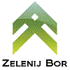 WOODWORKING PLANT ZELENIY BOR LTD